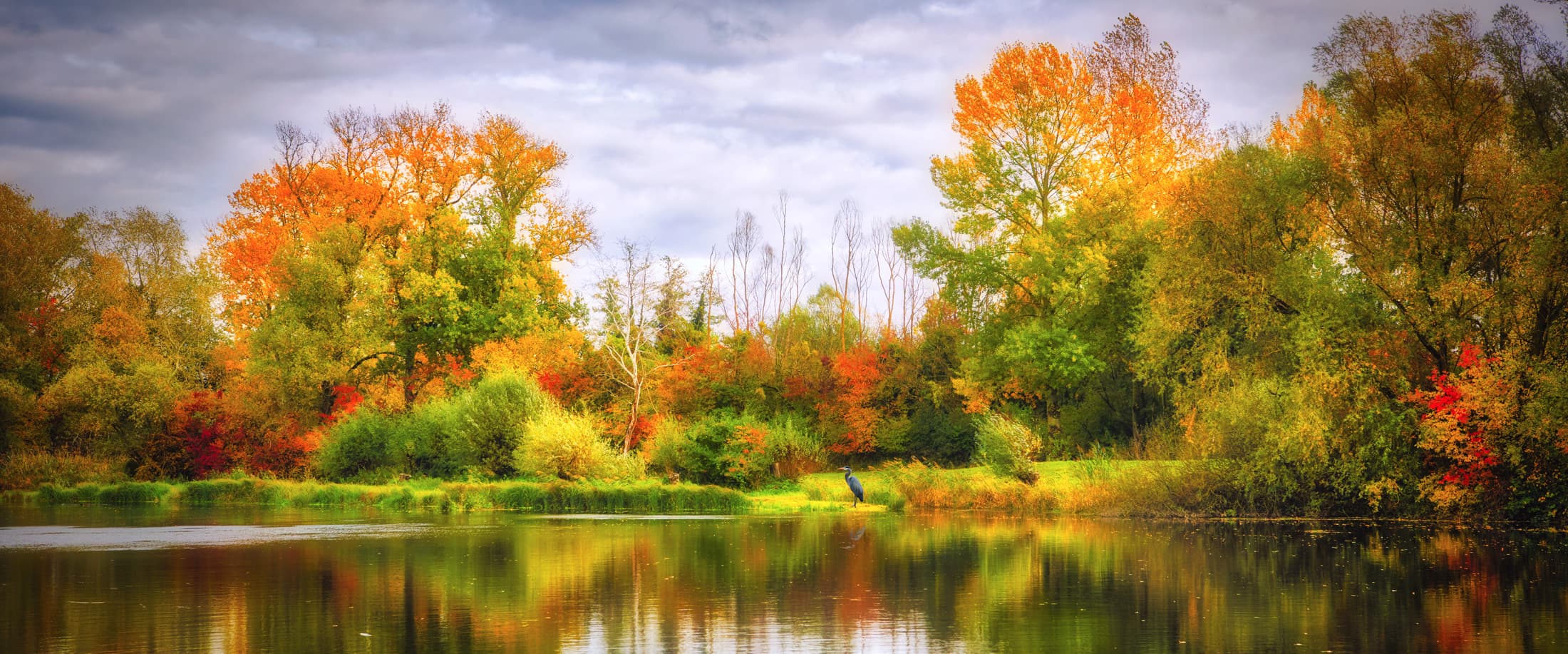 automne nature couleur lac