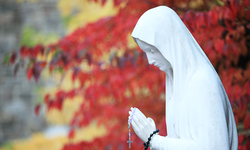statue vierge marie rosaire automne